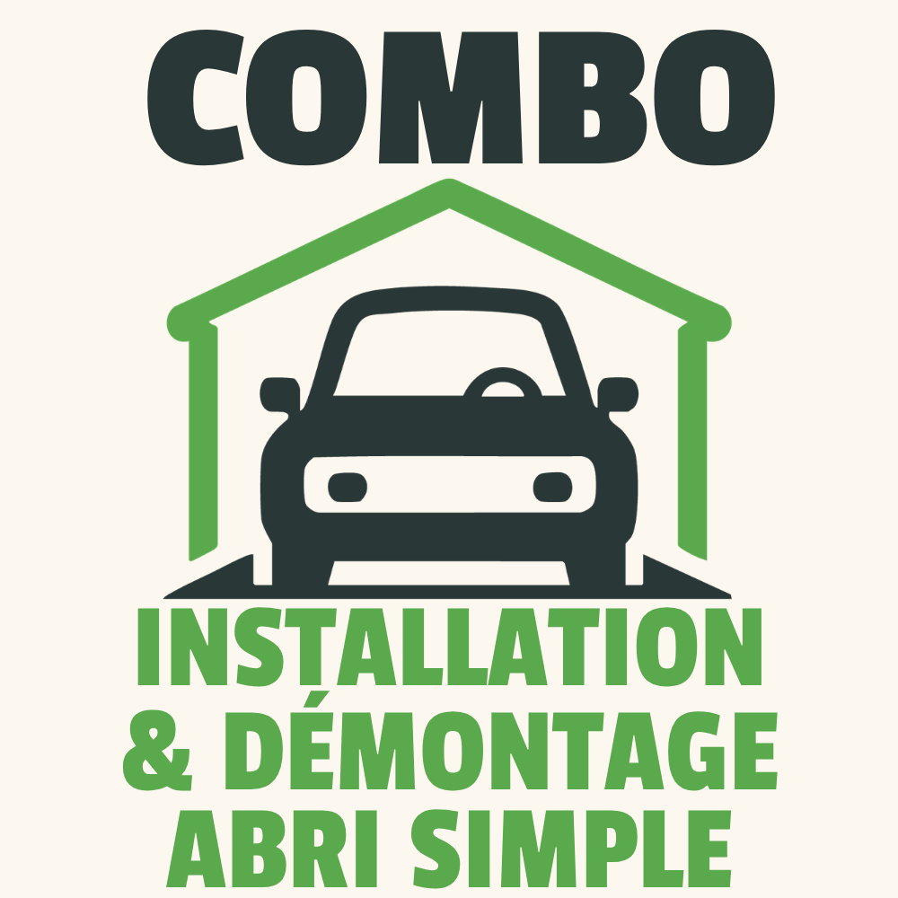 Forfait installation et démontage d’abri d’auto simple.
